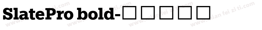 SlatePro bold字体转换